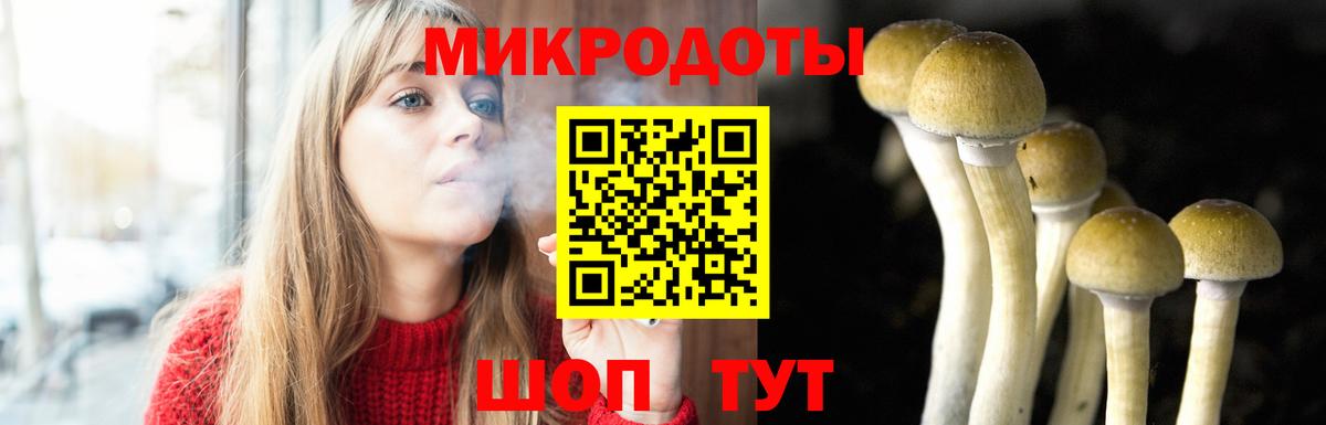 где купить наркоту  Галлюциногенные грибы MAGIC MUSHROOMS  Вход с VPN  Саянск  Псилоцибиновые грибы MAGIC MUSHROOMS 